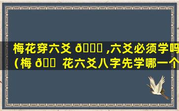 梅花穿六爻 🐋 ,六爻必须学吗（梅 🐠 花六爻八字先学哪一个）